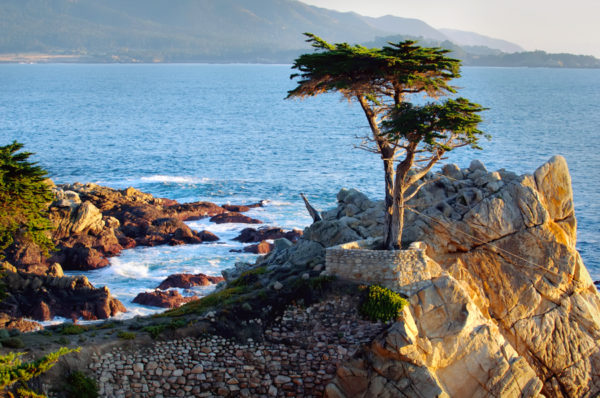 Monterey vue