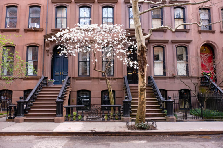 Visite guidée - Brooklyn Heights et DUMBO