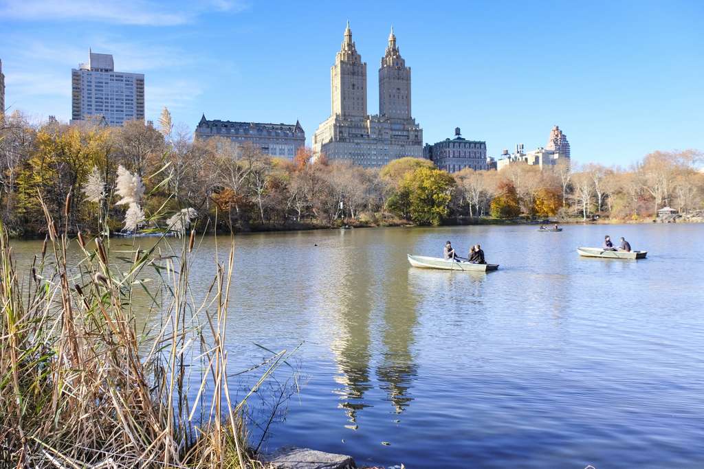 Visite guidée Central-Park-a-Pieds