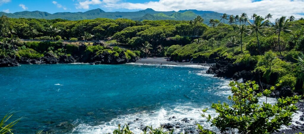MAUI