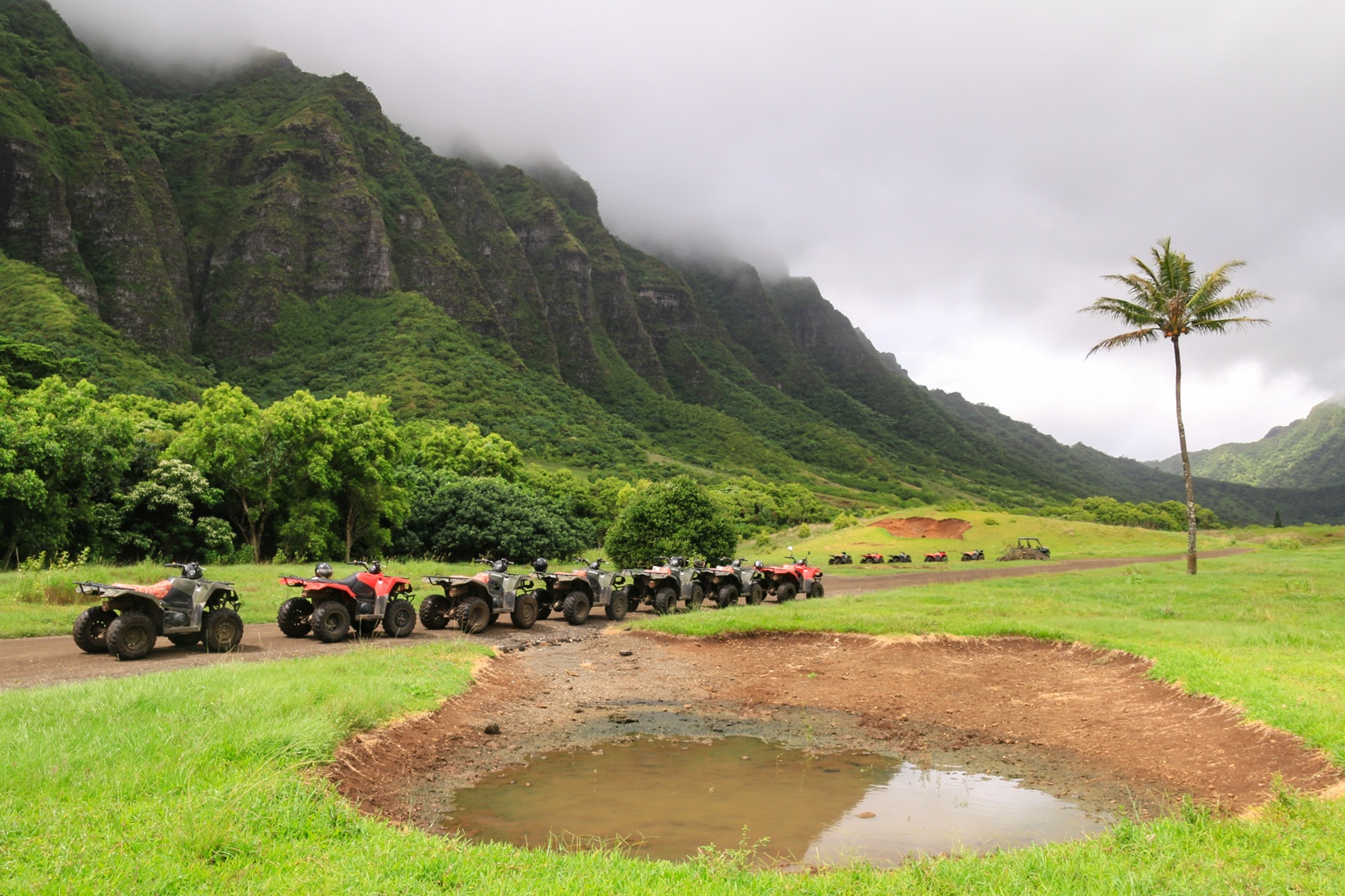 Activité à Kualoa Ranch