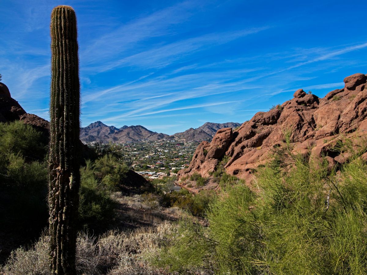 PHOENIX