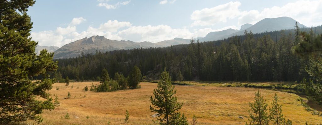 Sheridan Découverte