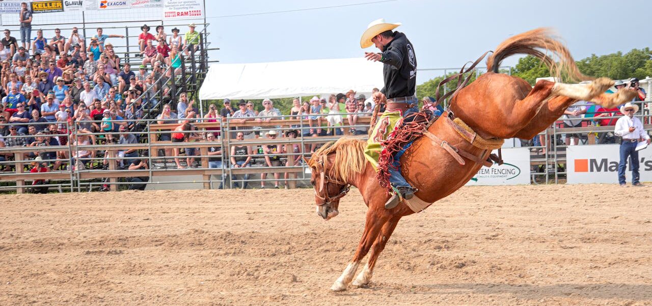 Sheridan Découverte