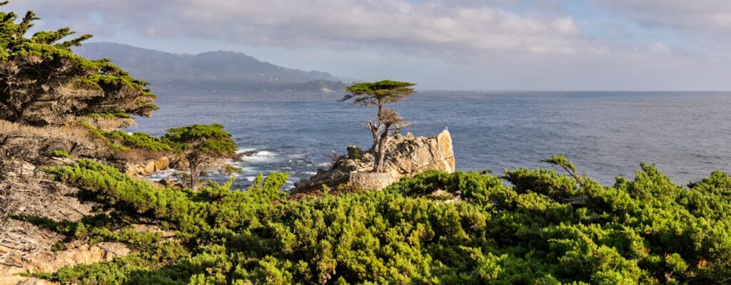 Monterey découverte