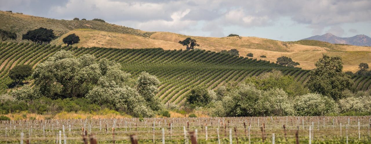 Santa Barbara découverte