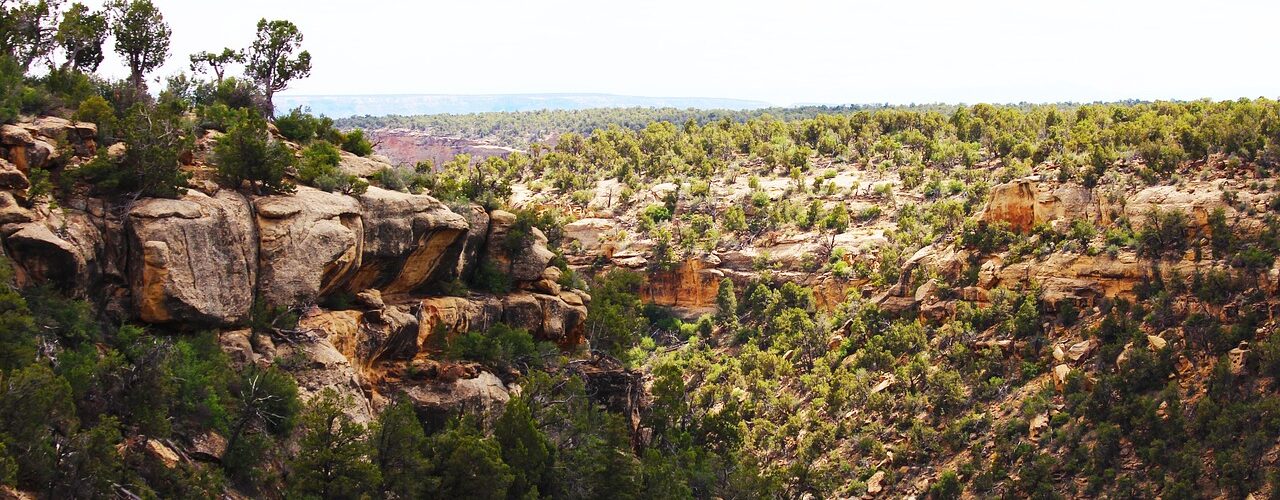 Mesa Verde Découverte