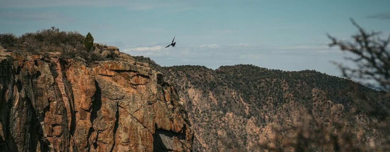 Black Canyon of the Gunnison Découverte