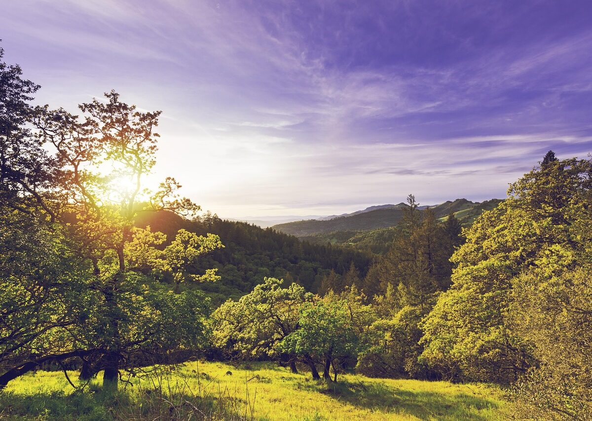 Napa Valley - Découverte - Titre