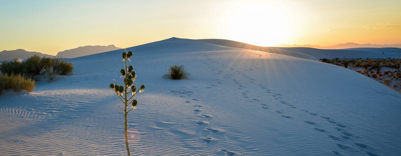 White Sands - Découverte