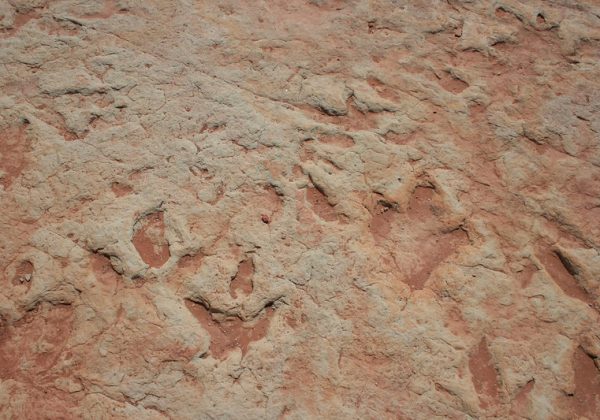 Arizona - Dinosaur Tracks - Navajo Nation
